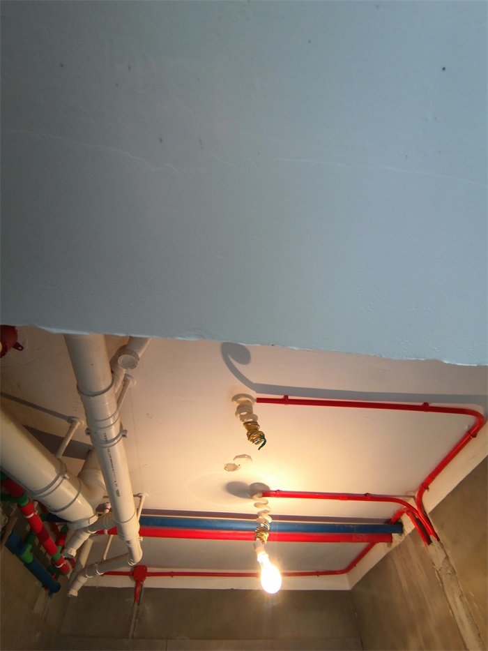 IMG_20190705_094719.jpg