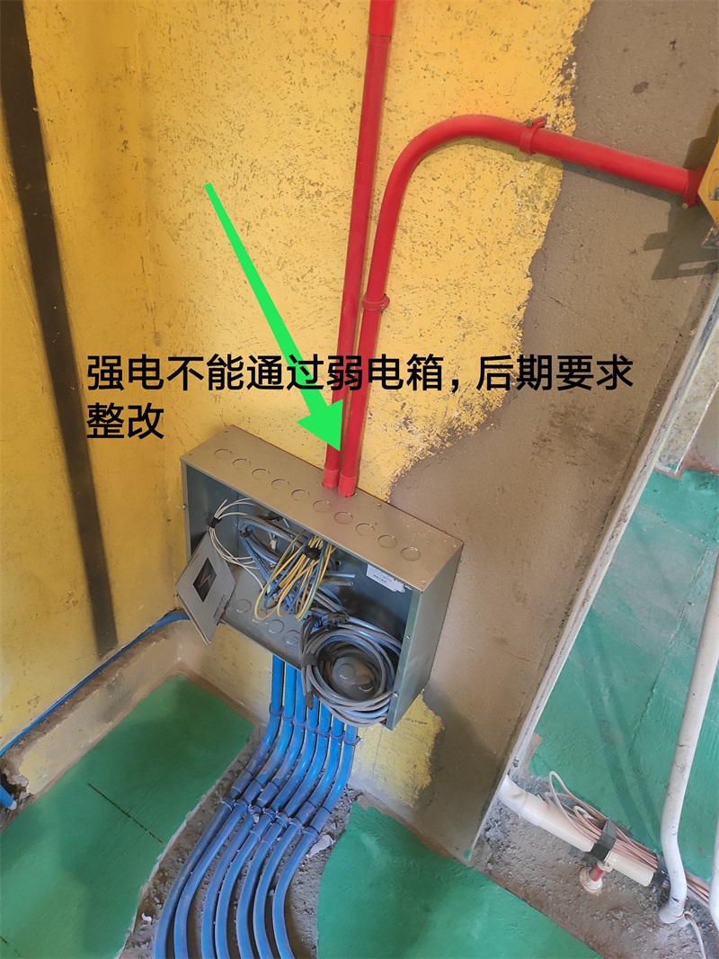 IMG_20191014_130546.jpg