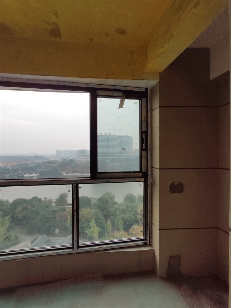 IMG_20191107_095301.jpg