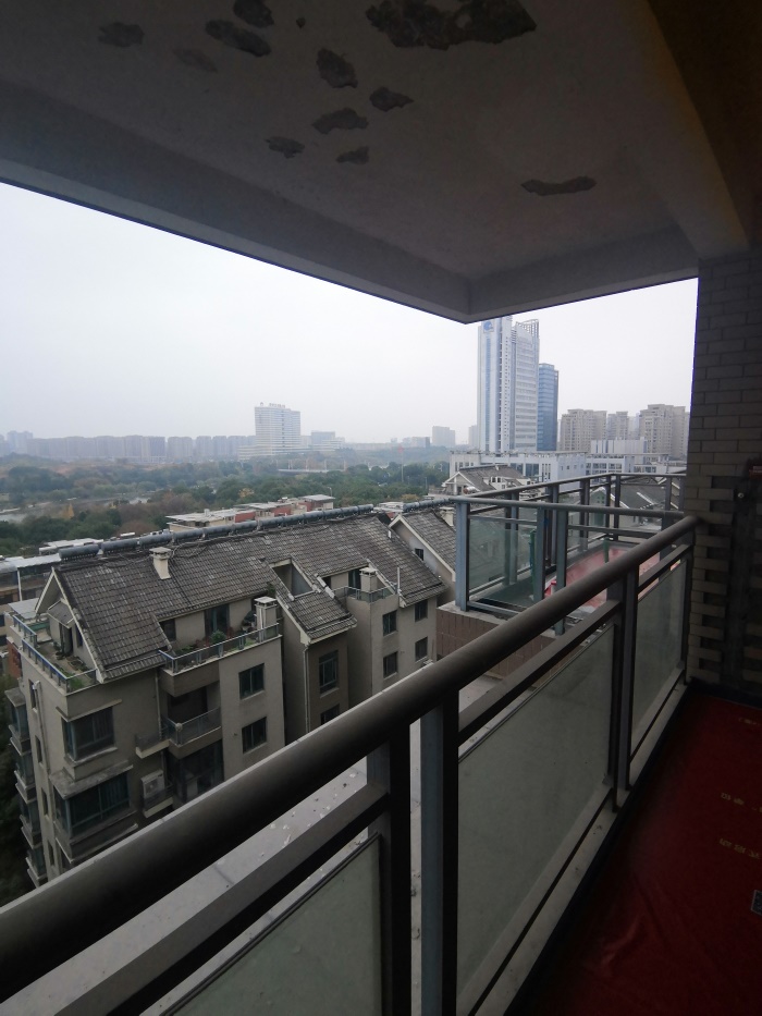 IMG_20191126_105220.jpg