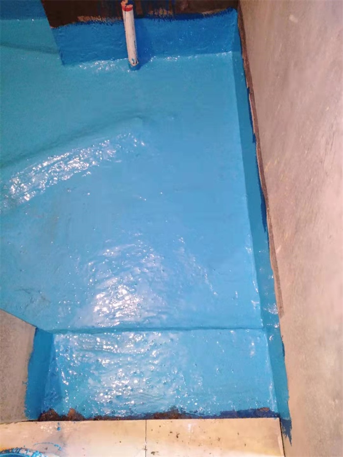 mmexport1574927566840.jpg