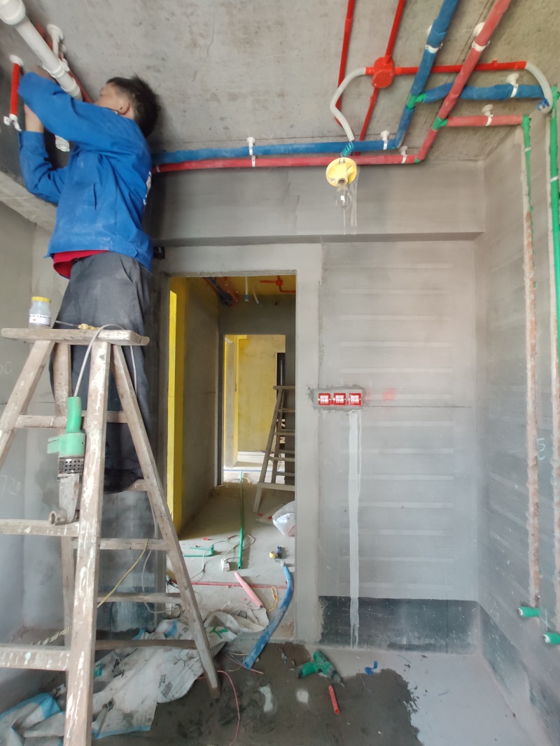 IMG_20191016_155203.jpg