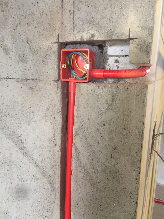 IMG_4960.JPG
