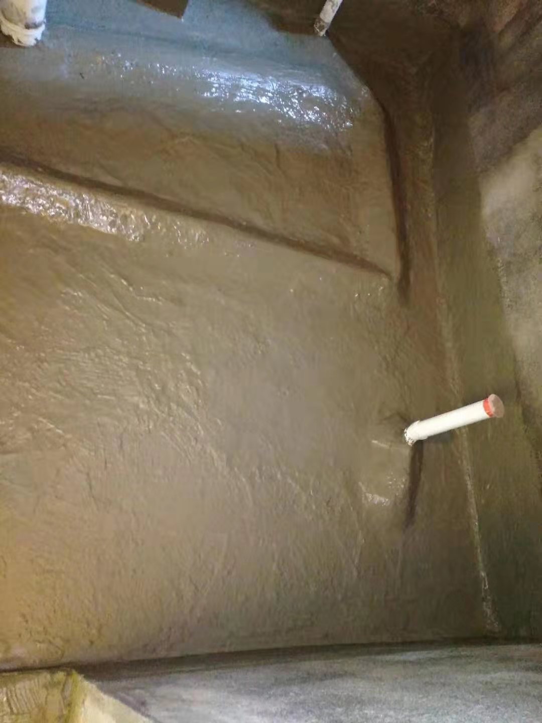 004724b3e73aa2e541bd1600b67d348.jpg