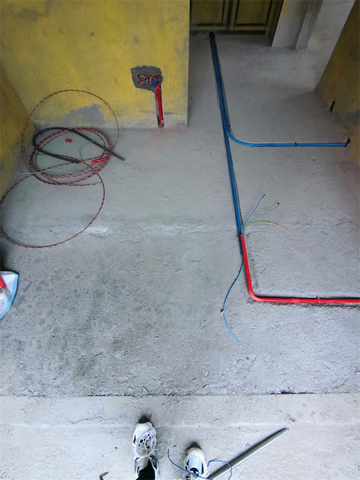 IMG_20191106_155605.jpg