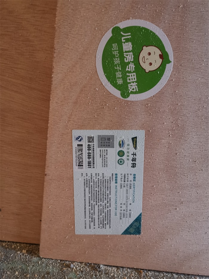 IMG_20191129_100609.jpg