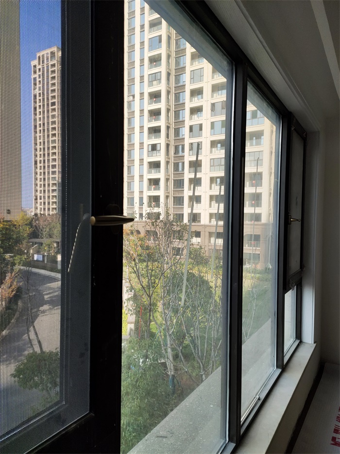 IMG_20191202_101218.jpg