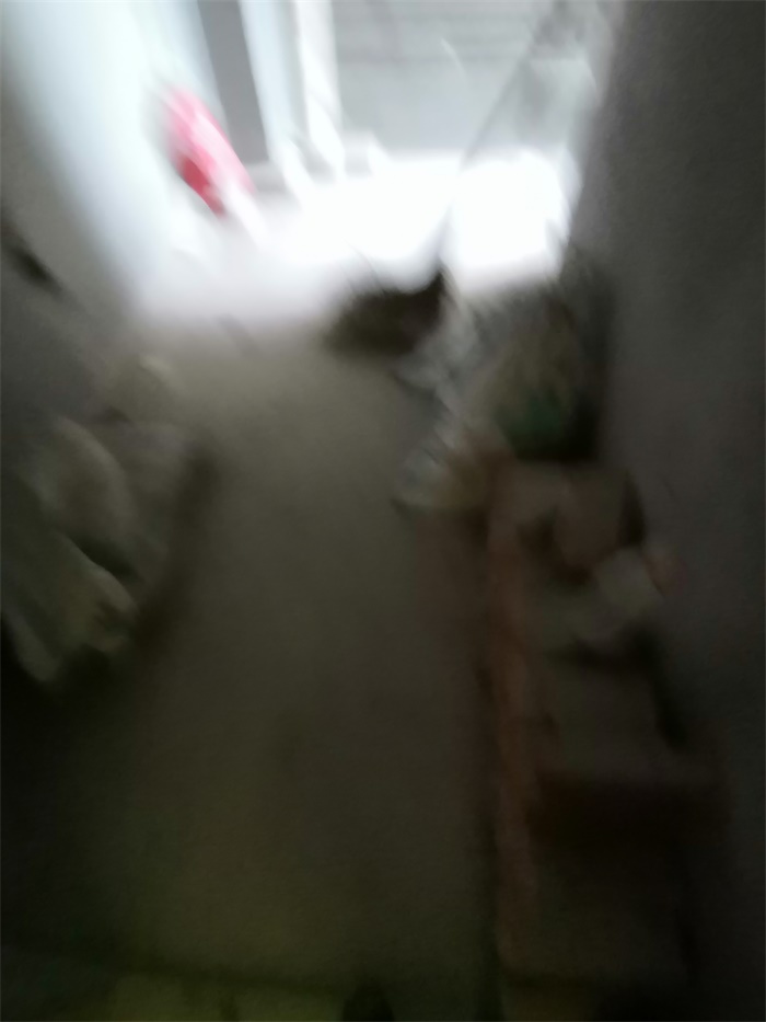 IMG_20190608_083738.jpg