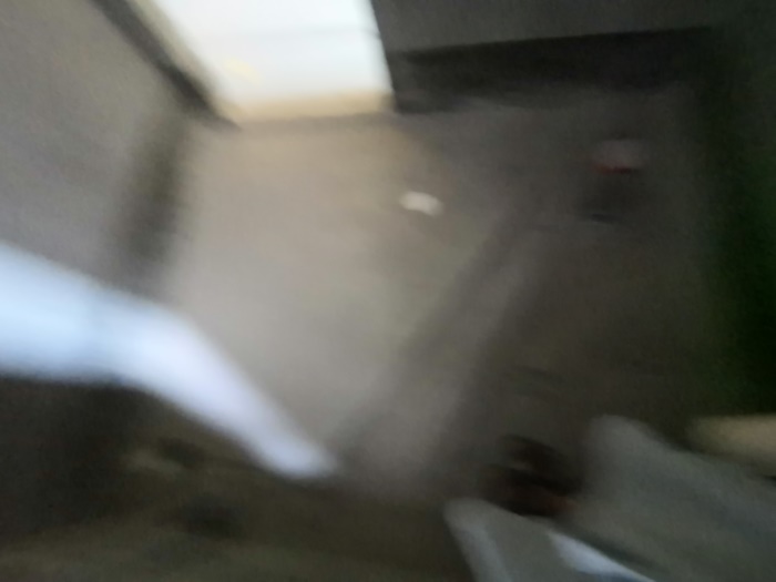 IMG_20190608_084031.jpg