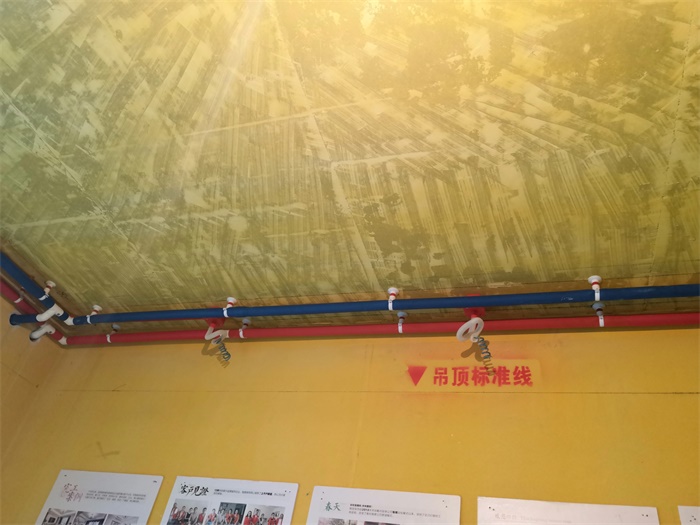 IMG_20190619_135554.jpg