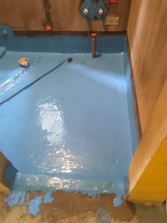 mmexport1575428718498.jpg