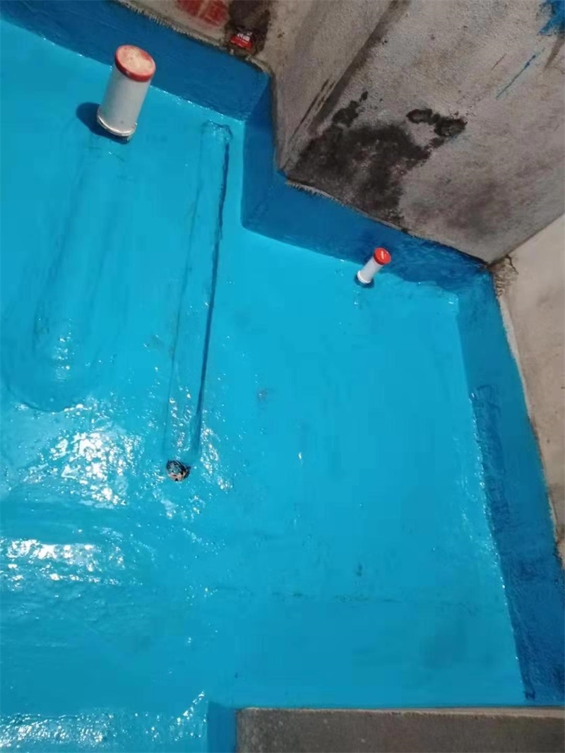 mmexport1574485582883.jpg