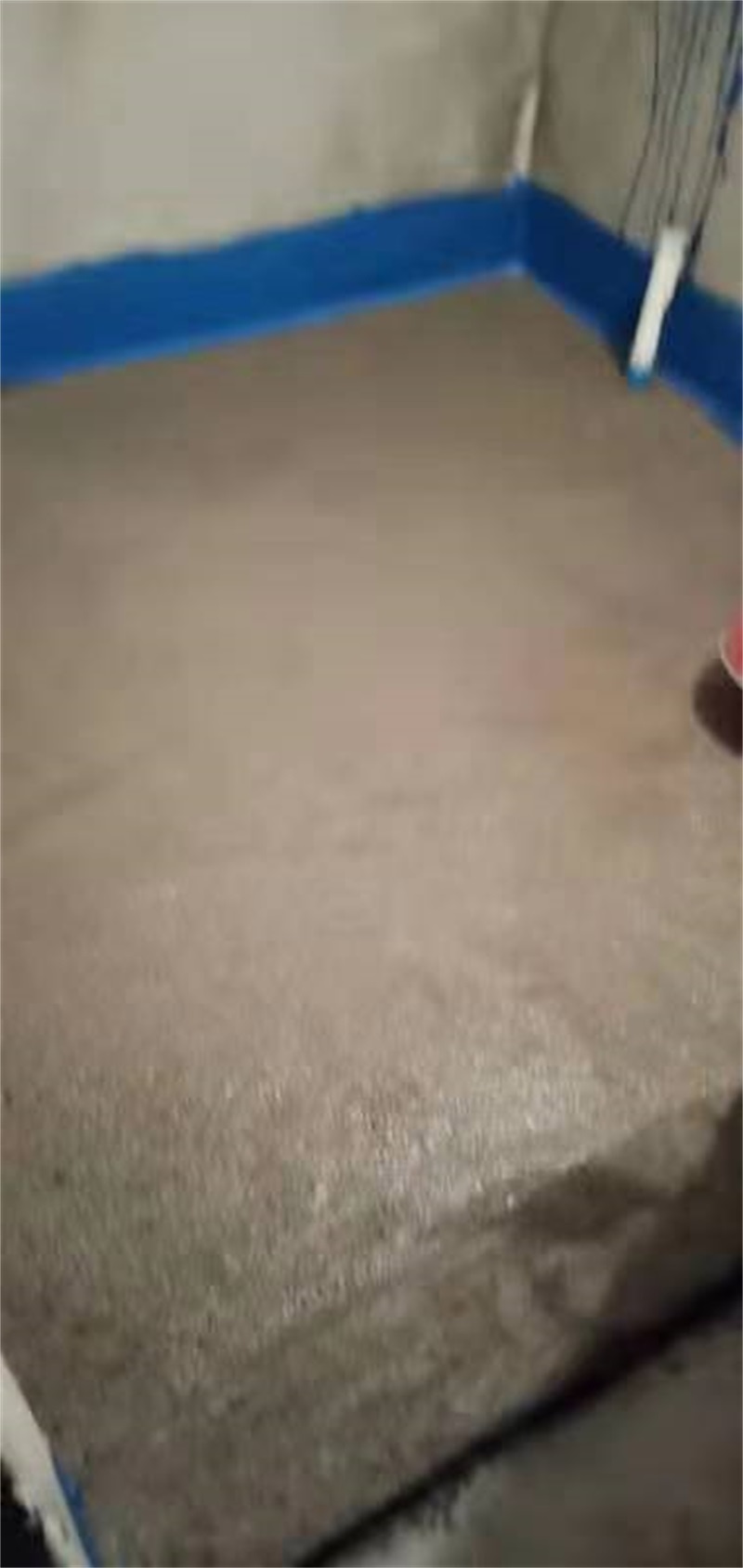 mmexport1574485620098.jpg