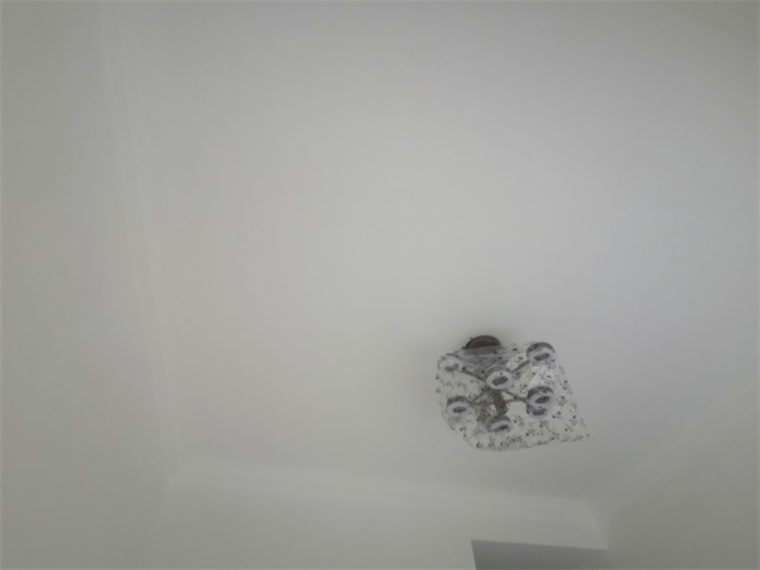 IMG_20190922_082042.jpg