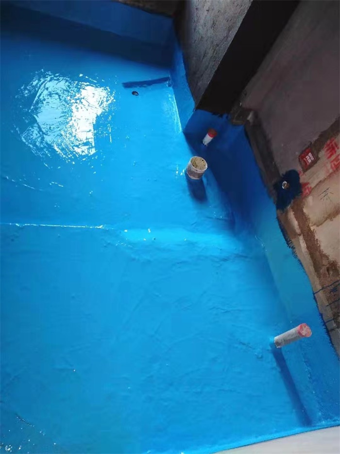 mmexport1575434278971.jpg