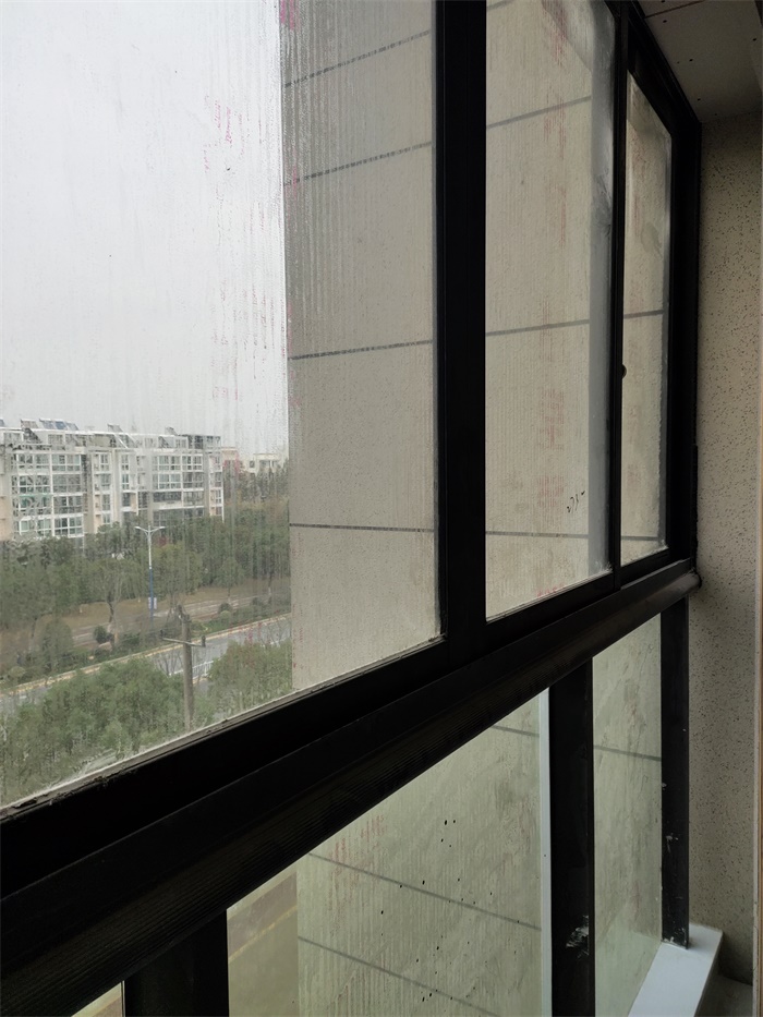 IMG_20191129_095202.jpg