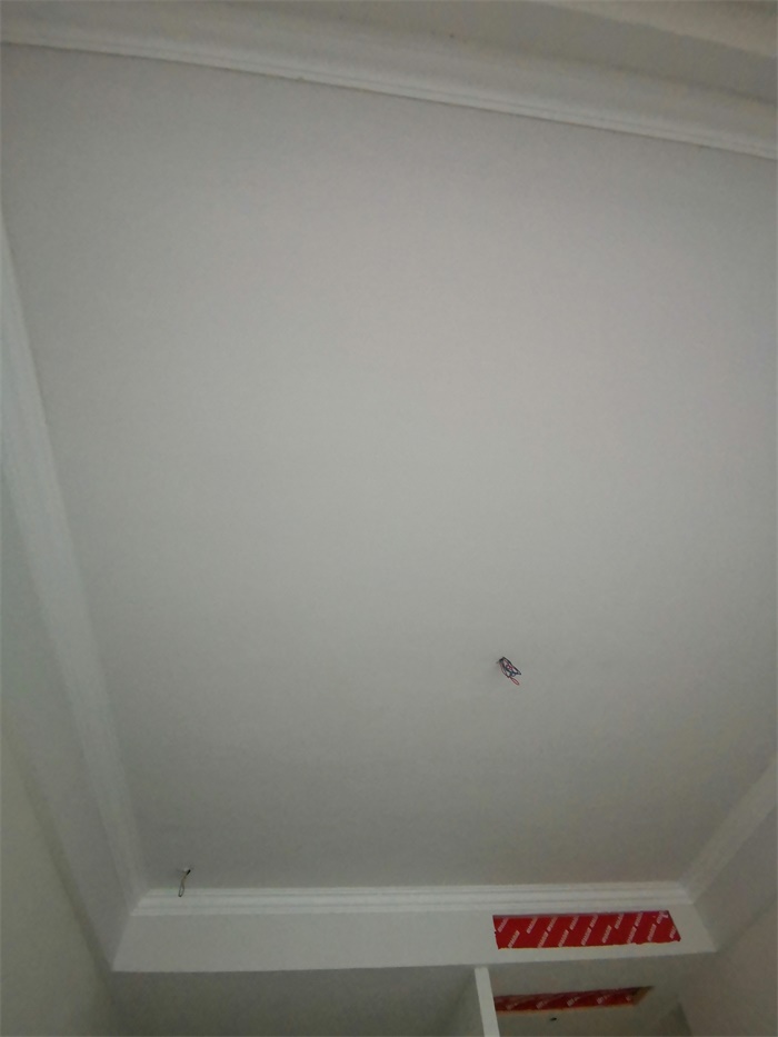 IMG_20191008_092145.jpg