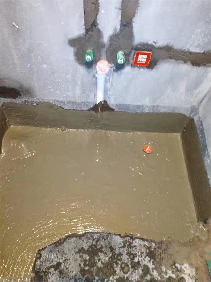 mmexport1575449660672.jpg