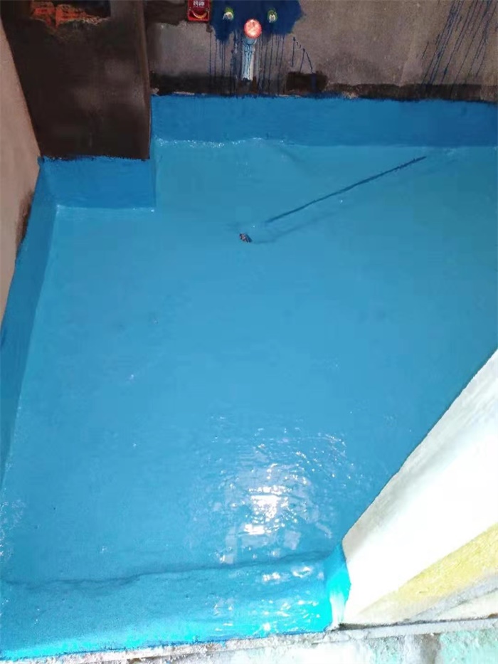 mmexport1575449690269.jpg