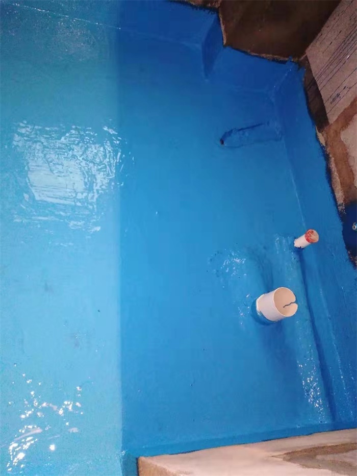 mmexport1575449698732.jpg