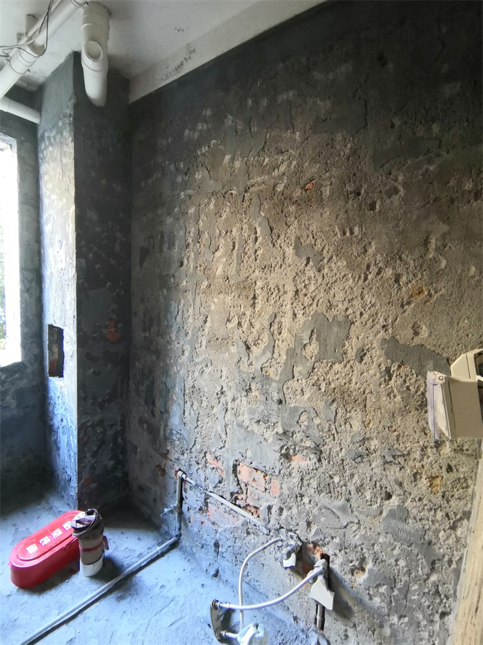 IMG_20191208_090518.jpg