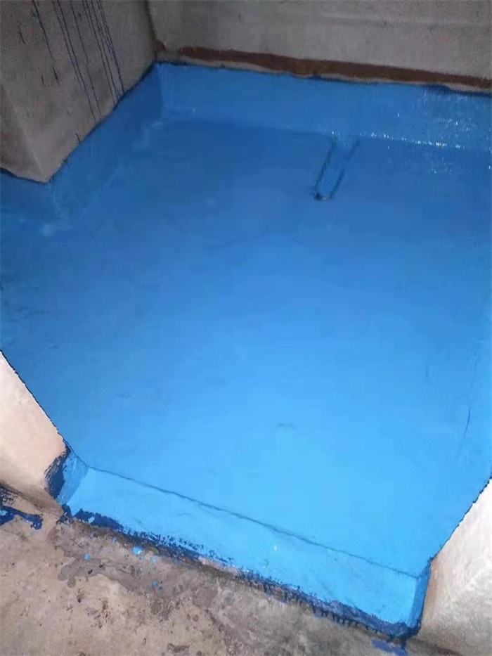 mmexport1576055885528.jpg
