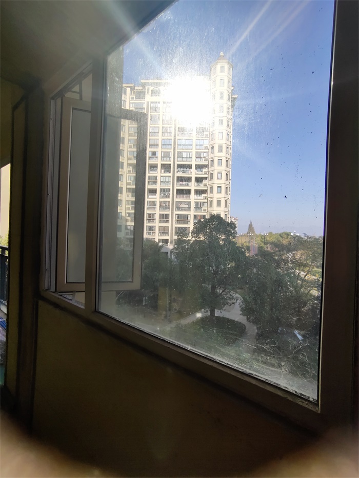 IMG_20191121_093244.jpg