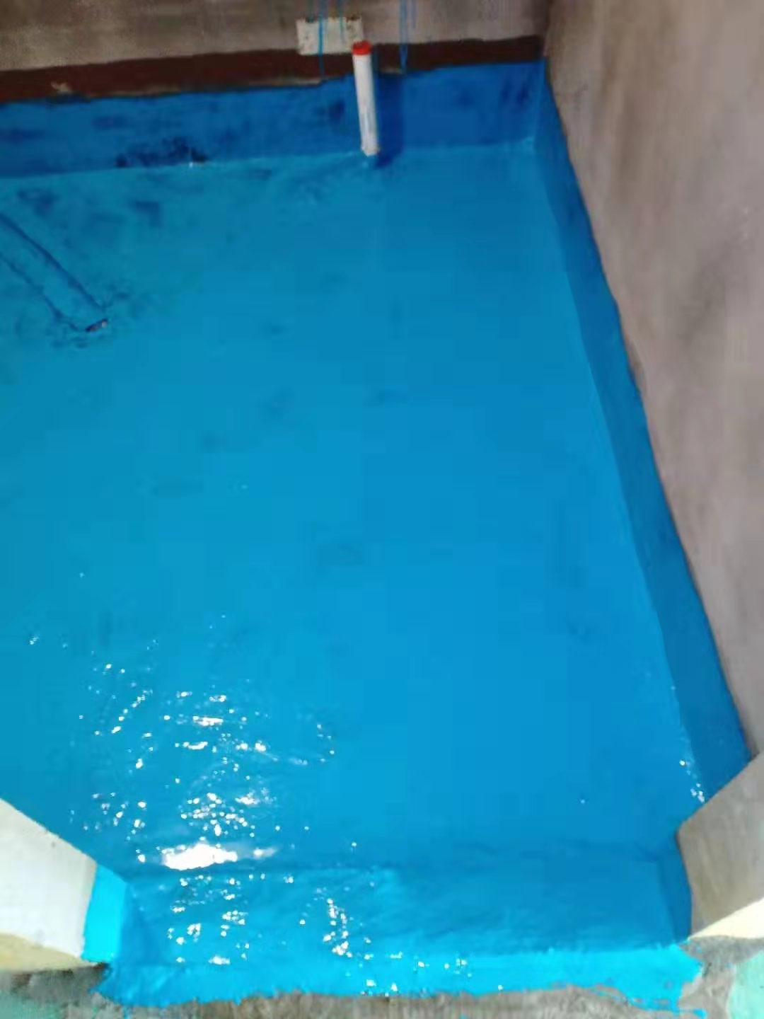 mmexport1576303225891.jpg