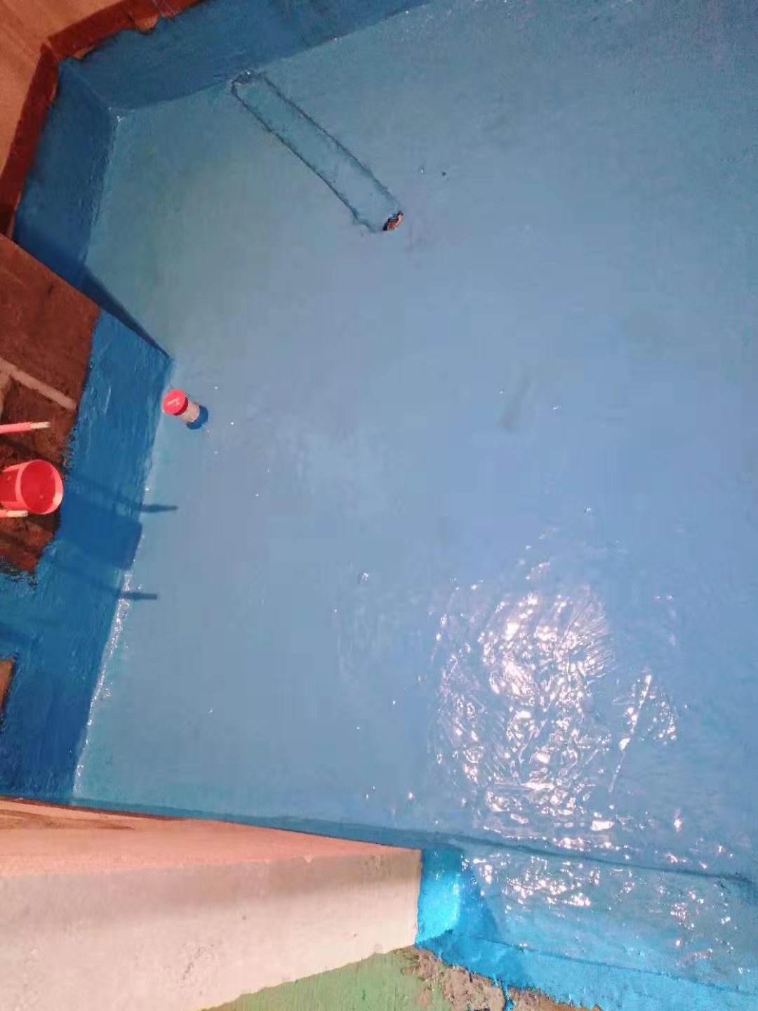 mmexport1576303254195.jpg