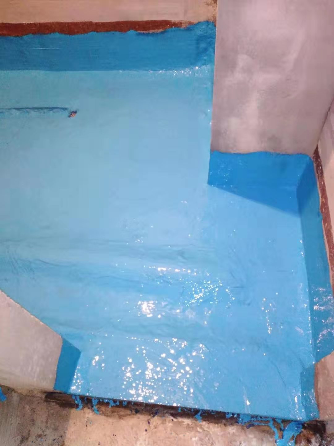 mmexport1576303258129.jpg