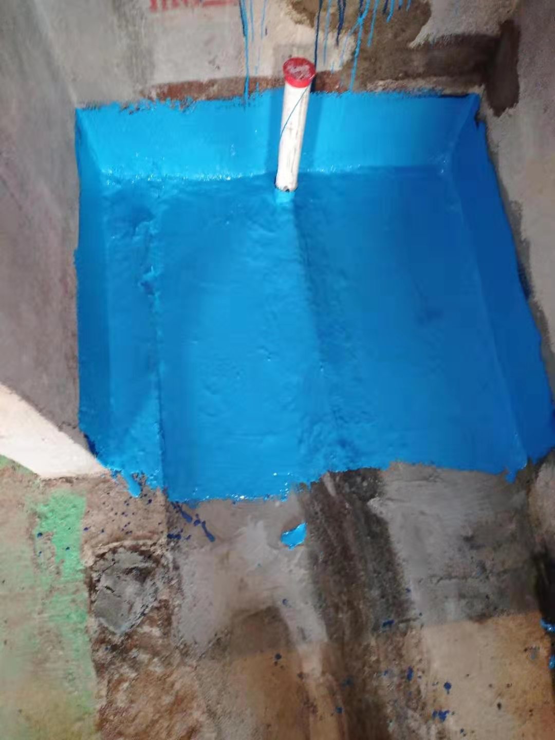 mmexport1576303255506.jpg