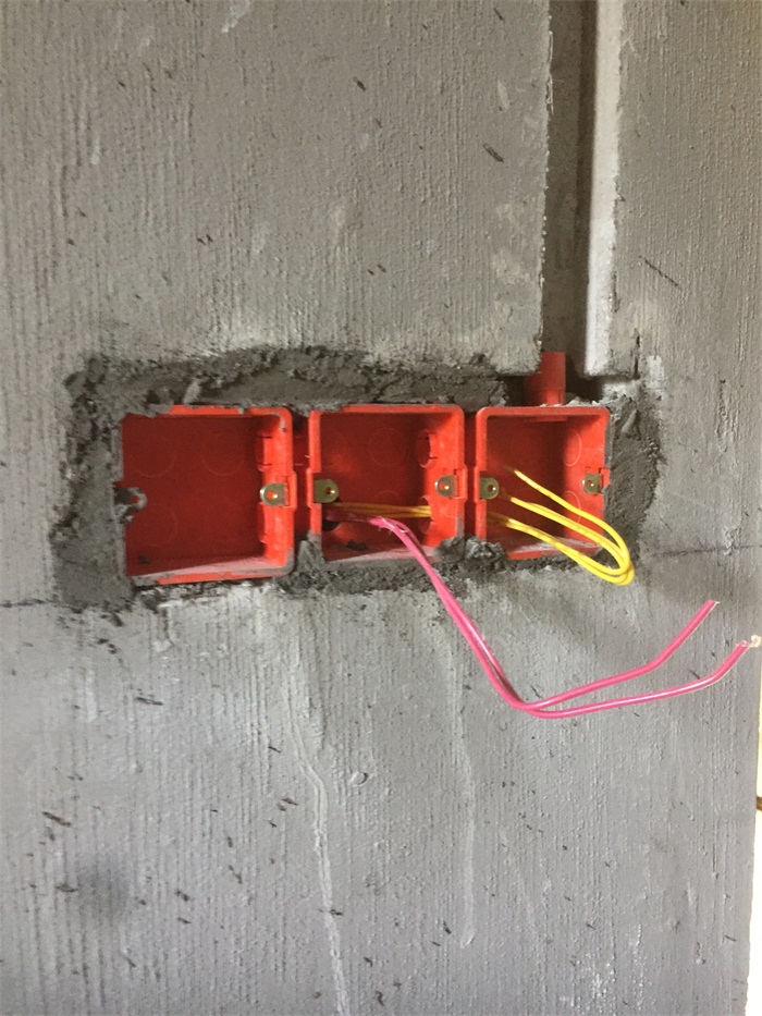 IMG_7431.JPG