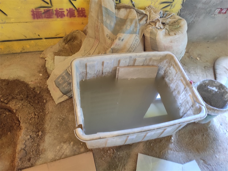 IMG_20190802_121548.jpg