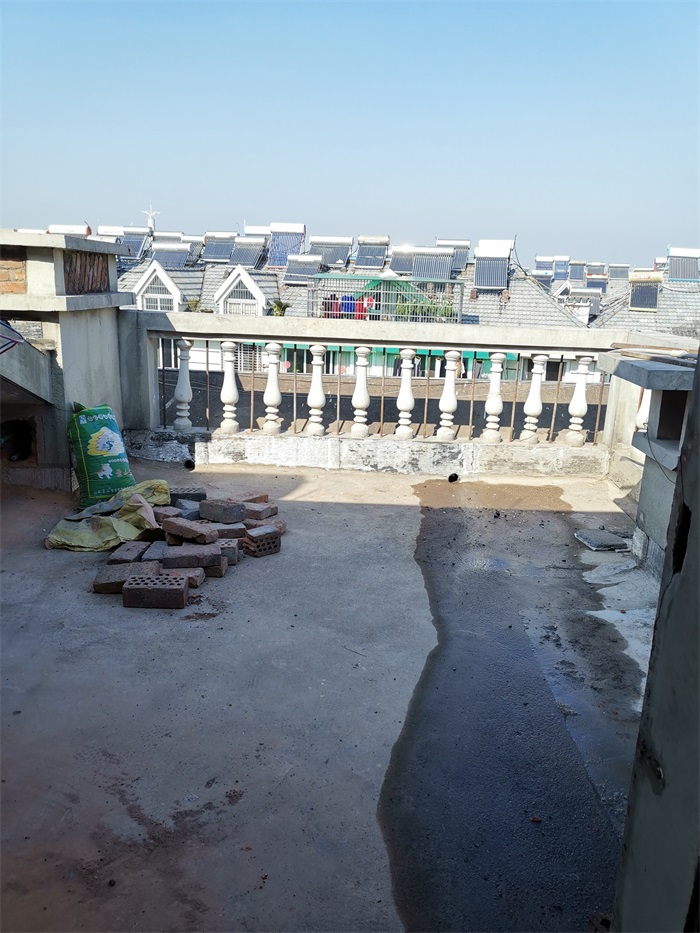 IMG_20191208_114638.jpg