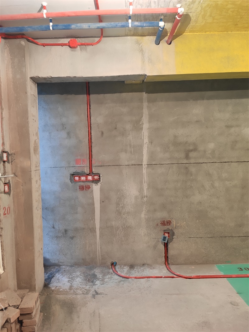 IMG_20191221_082401.jpg