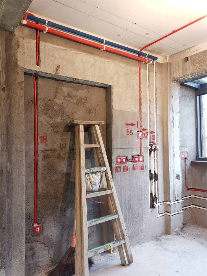 IMG_20191221_090450.jpg