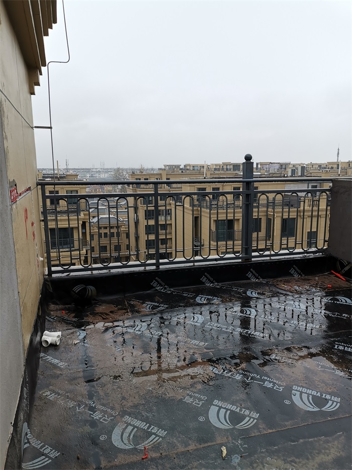 IMG_20191221_093140.jpg