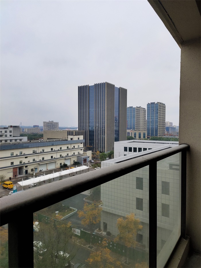 IMG_20191219_092124.jpg