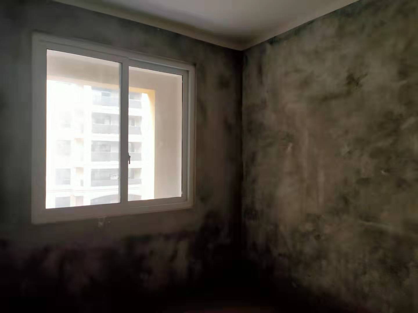d81dde9ab030c52a12a86d74f36bd7b.jpg