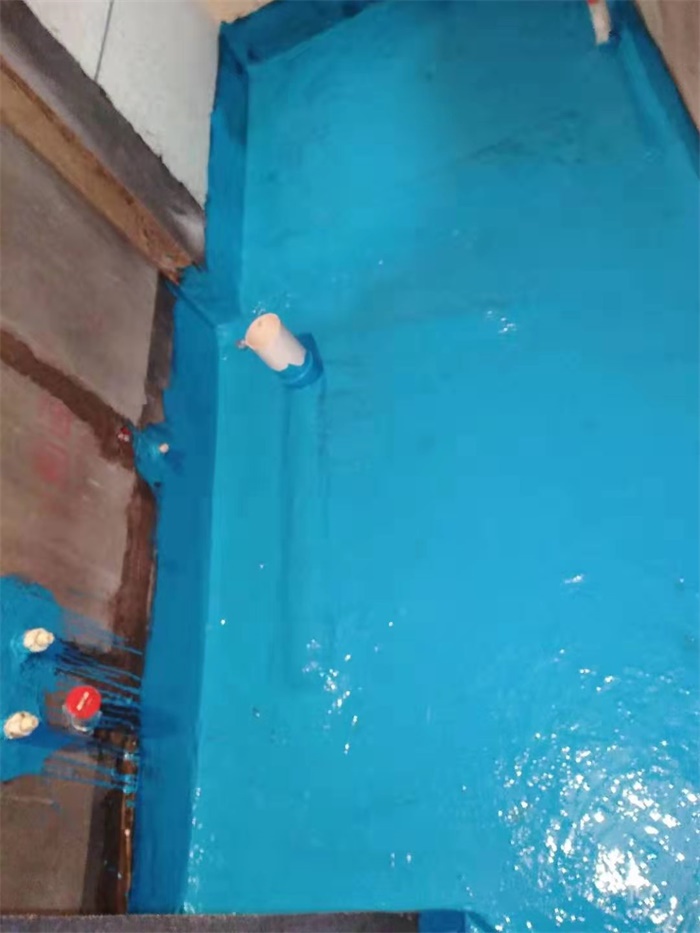 mmexport1577325653153.jpg