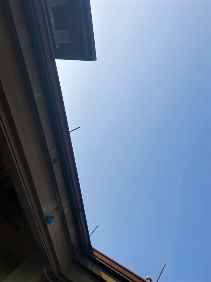 IMG_20191214_090548.jpg