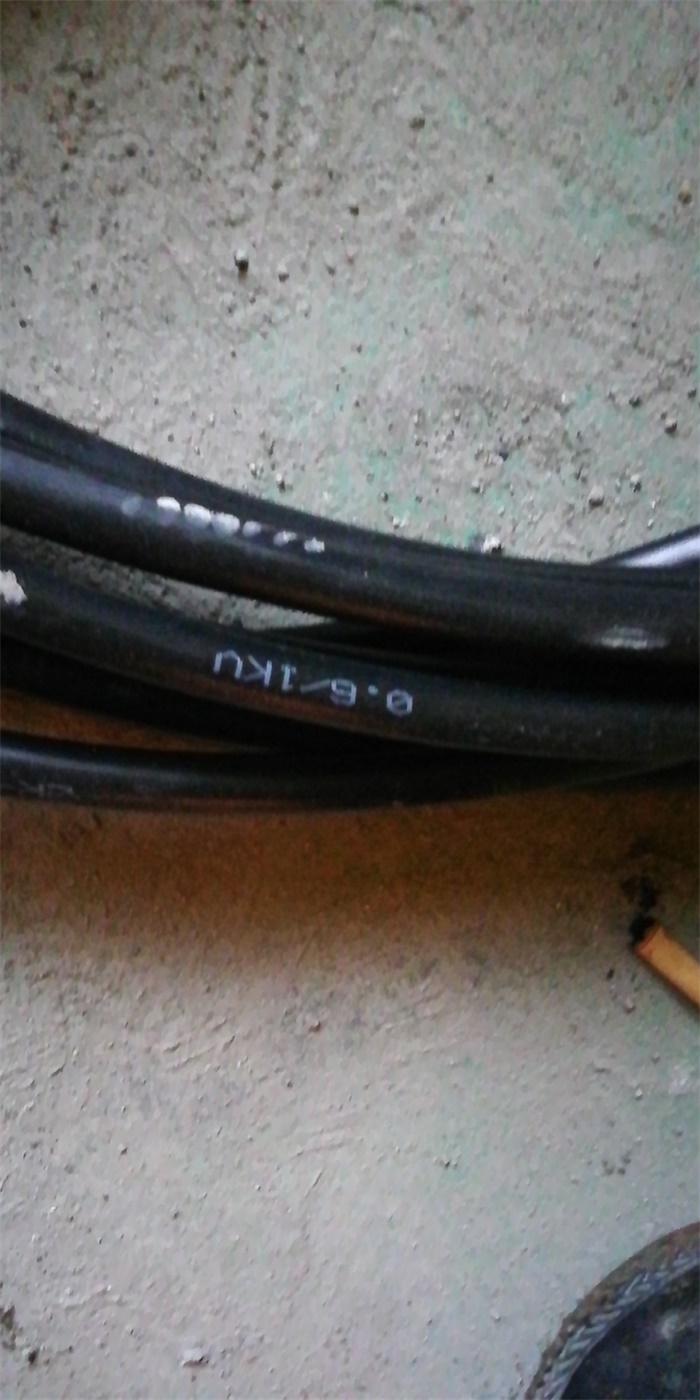 mmexport1577428927286.jpg