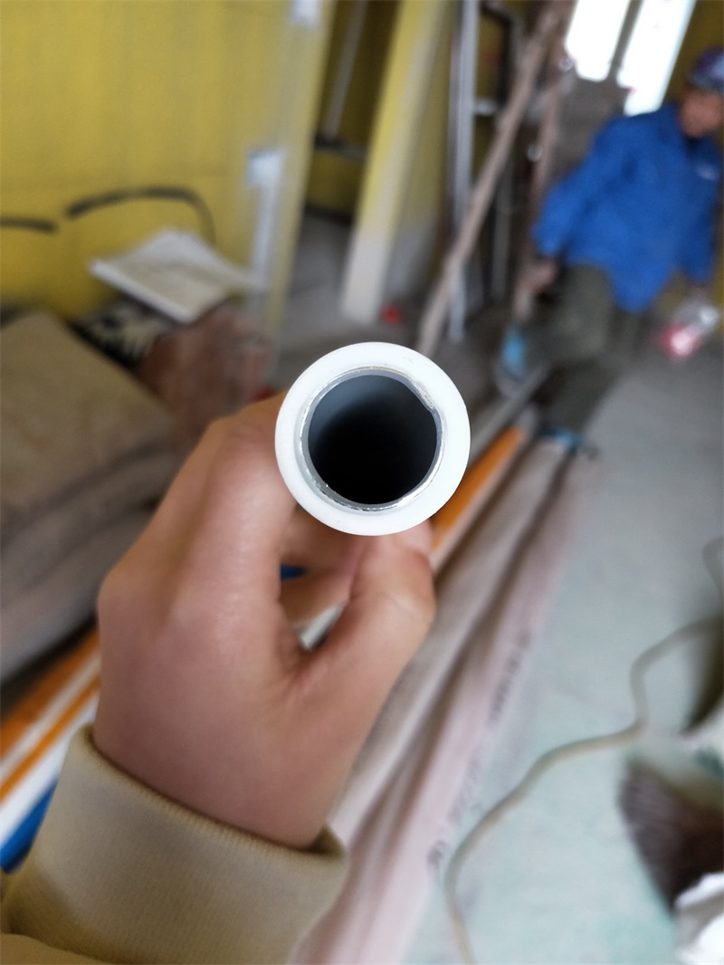 IMG20191223093510.jpg