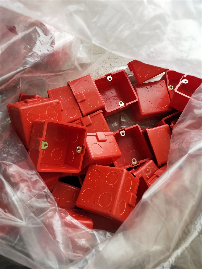 IMG20191223093250.jpg