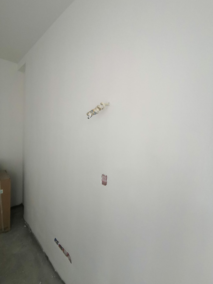 IMG_20191228_151551.jpg