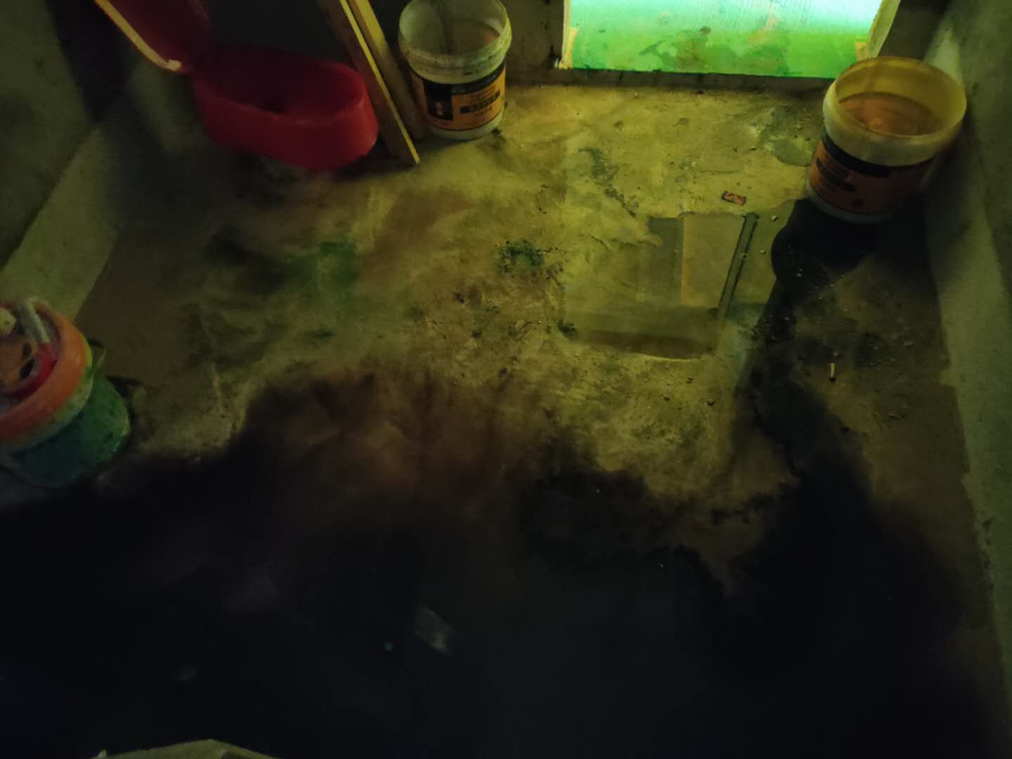 a51da07f262c66cfbbb8a4e5c84760d.jpg