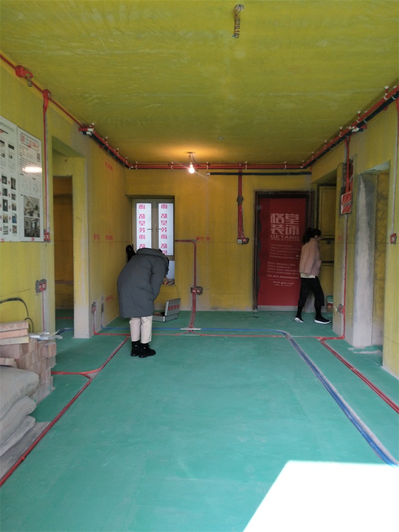 IMG20200101140613.jpg