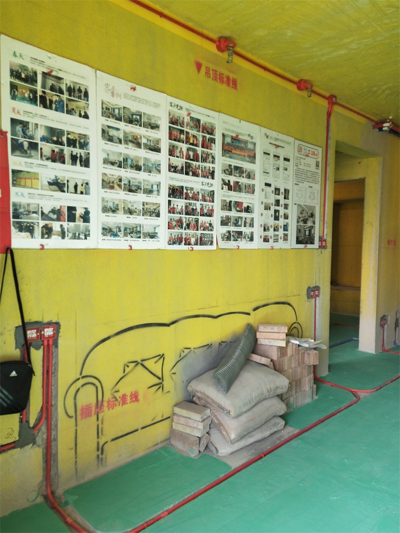 IMG20200101140619.jpg