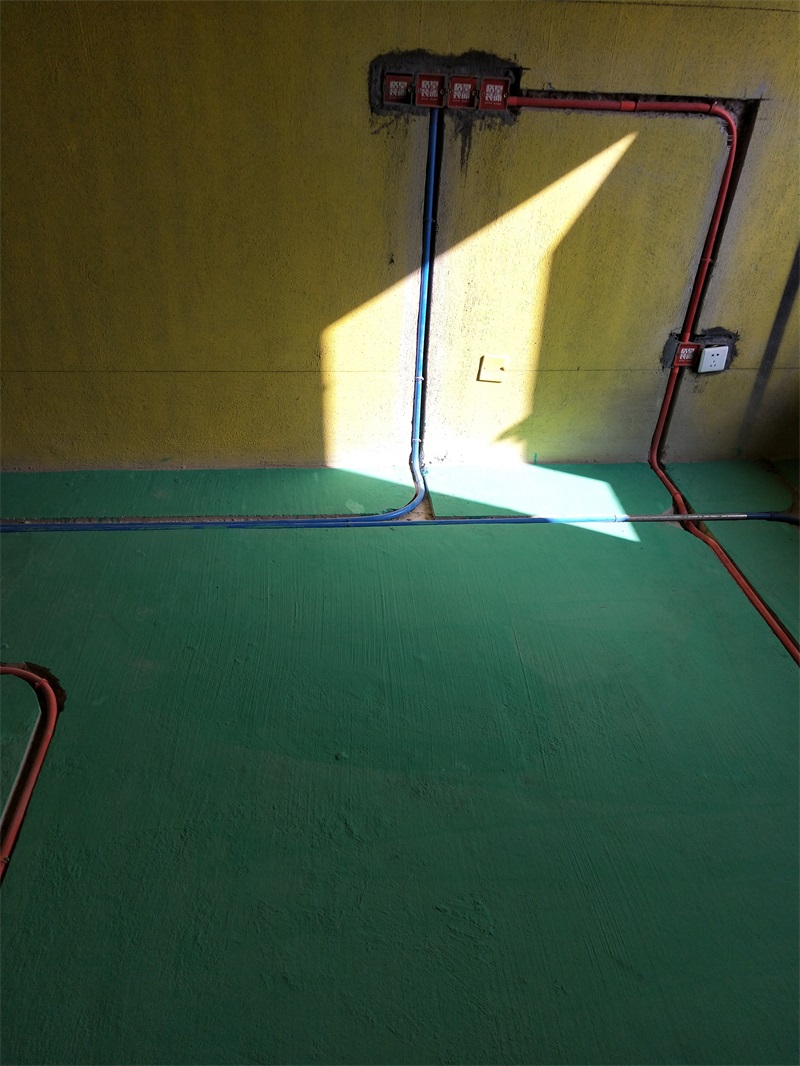 IMG20200101140743.jpg