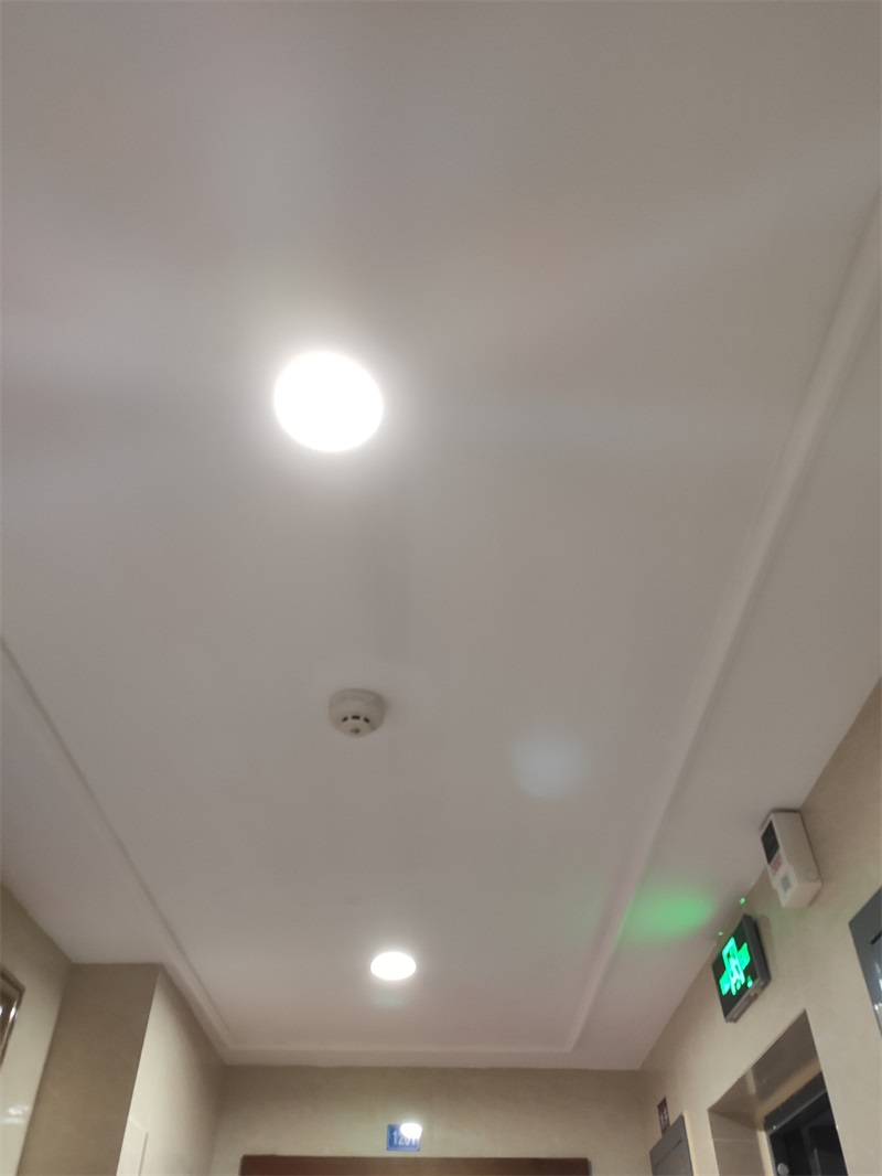IMG_20191226_104223.jpg